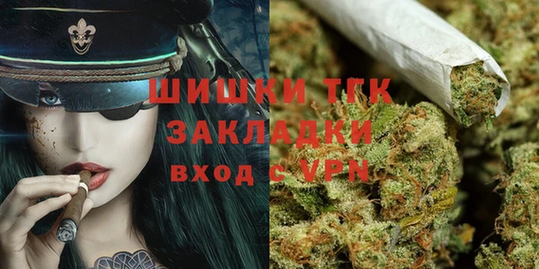 хмурый Алзамай