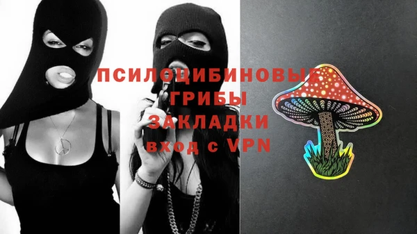 амф Алексеевка